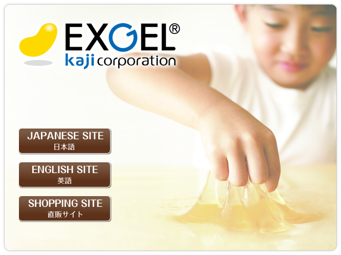 EXGEL エクスジェル 株式会社 加地 KAJI corporation